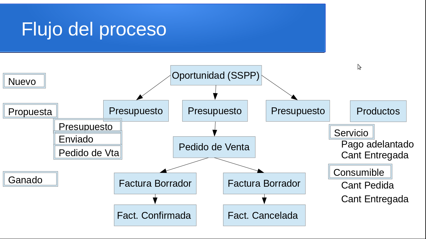 Flujo del Proceso